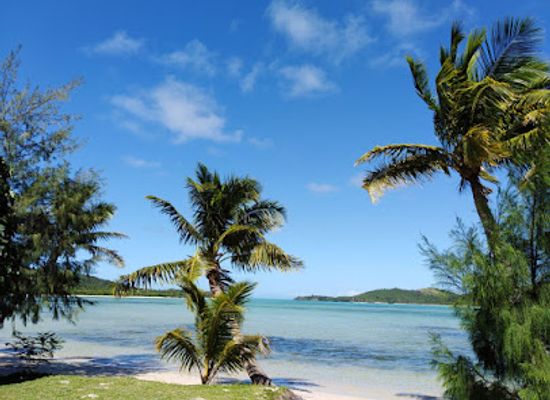 fiji/coral-coast/attraction/iconic-tours-fiji-local-fiji-tours-transfers-island-day-cruises-shore-excursion-cultural-tours-airport-taxi
