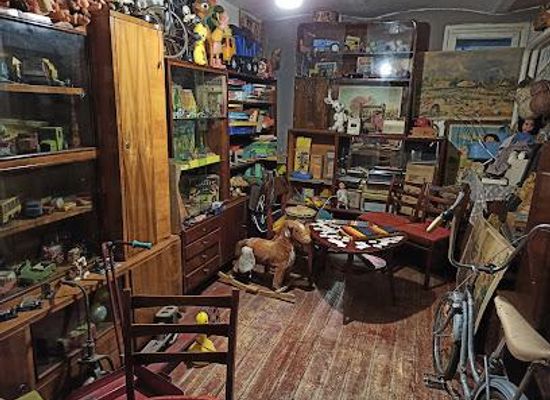 romania/timis/attraction/muzeul-consumatorului-comunist