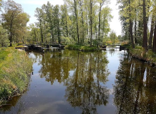 germany/spreewald/attraction/barzlin