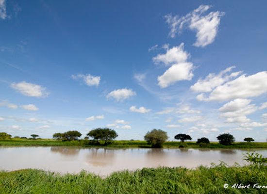chad/lake-chad/attraction/waza-national-park