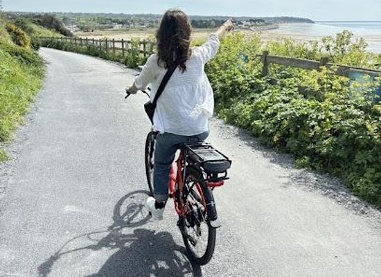 france/brittany/attraction/iris-sport-location-de-velo-a-domicile