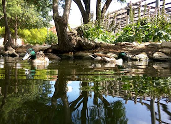 spain/murcia/attraction/jardin-de-la-seda