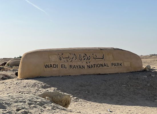 egypt/wadi-el-rayan-national-park/attraction/wadi-el-rayan-gates