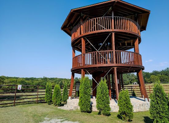 romania/dambovita/attraction/rezervatia-de-zimbri-neagra