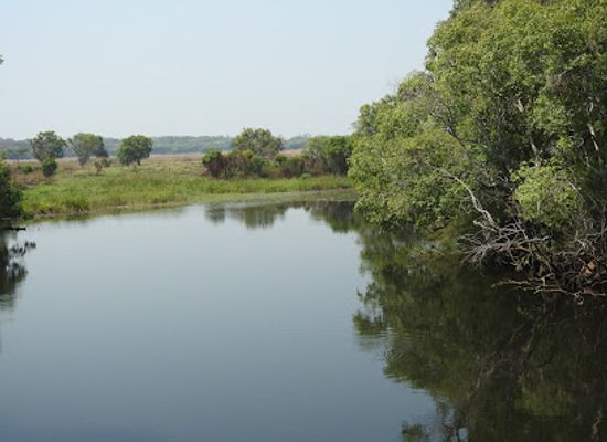 namibia/zambezi/attraction/kasanka-national-park