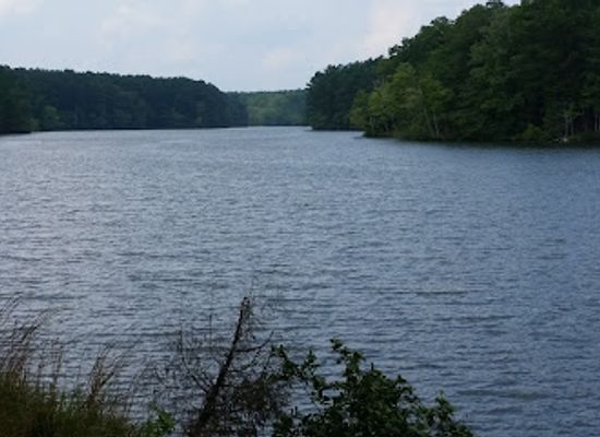 tennessee/highland-rim/attraction/natchez-trace-state-park