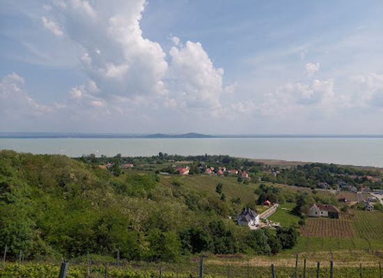 hungary/balaton-uplands/attraction/badacsony