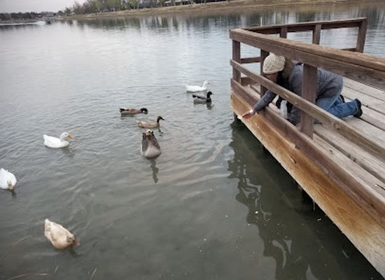 new-mexico/carlsbad/attraction/carlsbad-labyrinth-at-riverview-park
