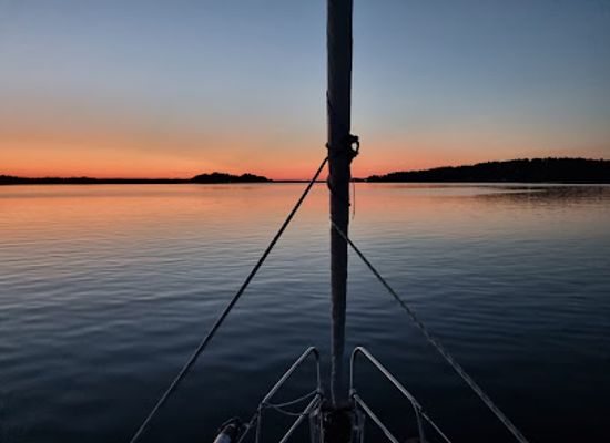sweden/uppsala/attraction/wildlife-sailors