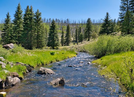 arizona/white-mountains/attraction/thompson-trail-629