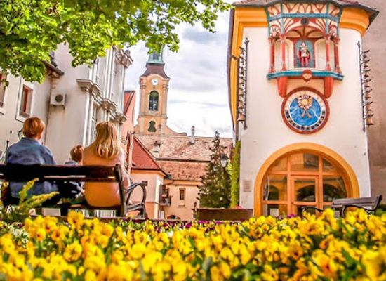hungary/szekesfehervar/attraction/kovacs-jeno-oramuzeum-es-orajatek