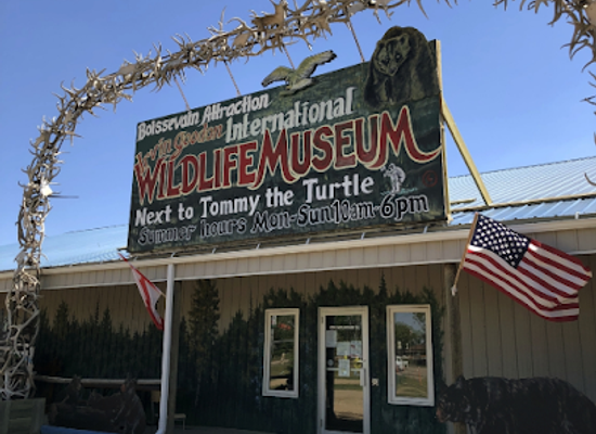 canada/western-manitoba/attraction/irvin-goodon-international-wildlife-museum