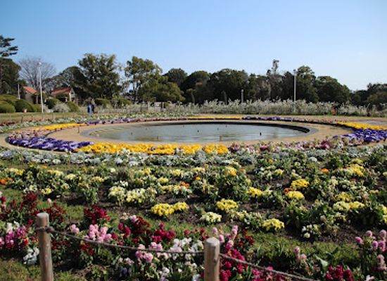 japan/settsu/attraction/hattori-ryokuchi-park
