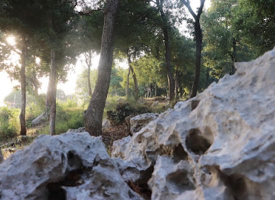 lebanon/chouf-district/attraction/the-castle-of-giving