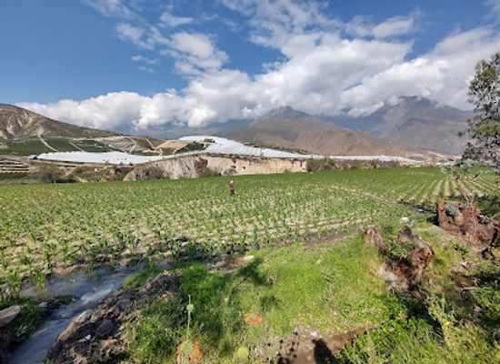 peru/huascaran-national-park/attraction/caraz-dulzura