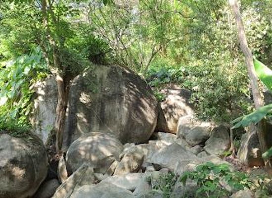 mexico/acapulco/attraction/acapulco-botanical-garden