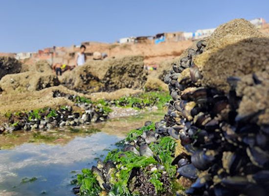 morocco/souss-massa/attraction/sidi-toual-beach