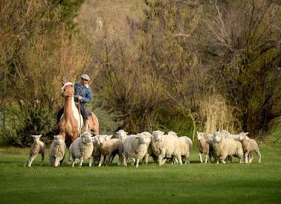 argentina/el-calafate/attraction/estancia-25-de-mayo