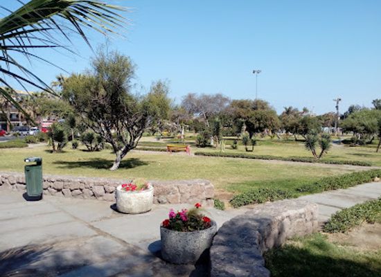 chile/arica/attraction/parque-brasil