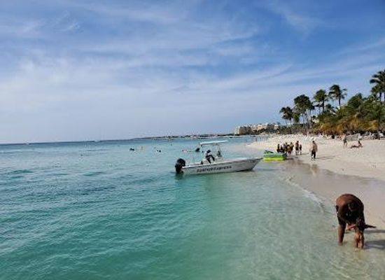 aruba/noord/attraction/pelican-adventures