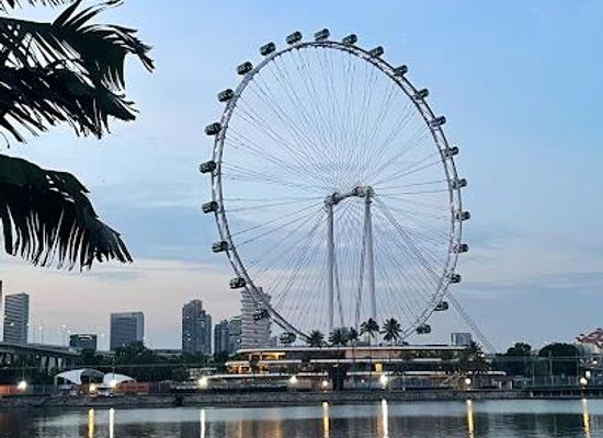 singapore/bugis/attraction/singapore-flyer