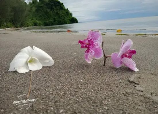 papua-new-guinea/kimbe/attraction/touring-island-vulai