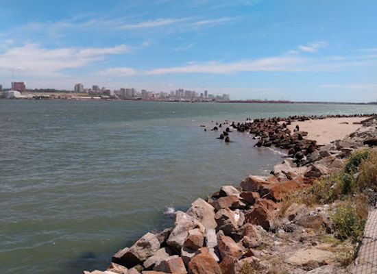 argentina/mar-del-plata/attraction/reserva-de-lobos-marinos-del-puerto-de-mar-del-plata