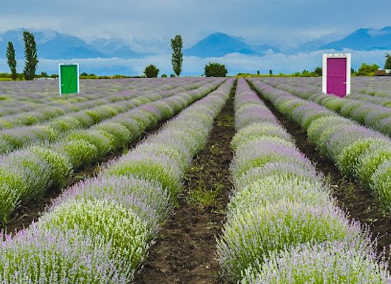azerbaijan/guba-khachmaz-region/attraction/essenso-lavanda-sahsi