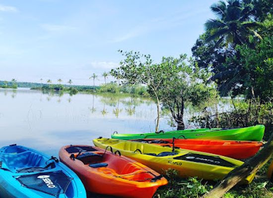 india/varkala/attraction/varkala-mangrove-kayaking-and-boating