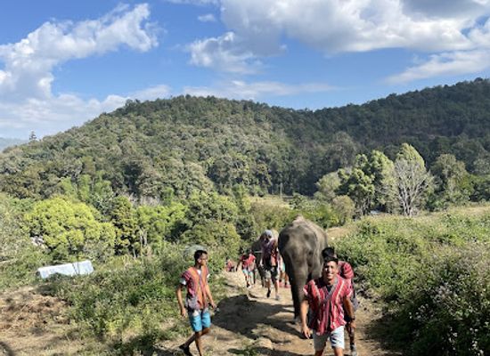 thailand/doi-inthanon/attraction/doiinthanon-elephant-sanctuary-camp