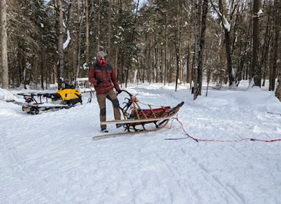 canada/haliburton-highlands/attraction/winterdance-dogsled-tours