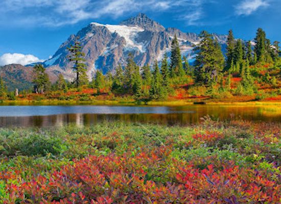 washington/mount-baker/attraction/mt-baker-ski-area