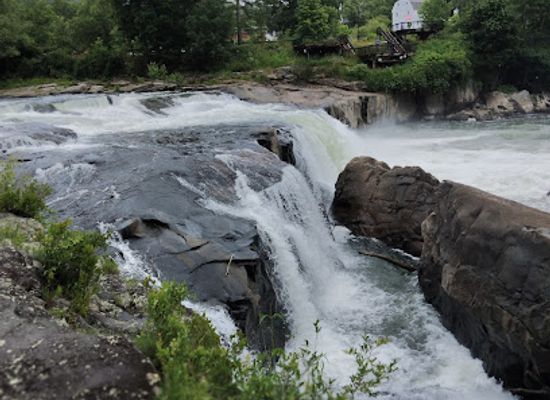 pennsylvania/ohiopyle-state-park/attraction/ferncliff-peninsula-natural-area
