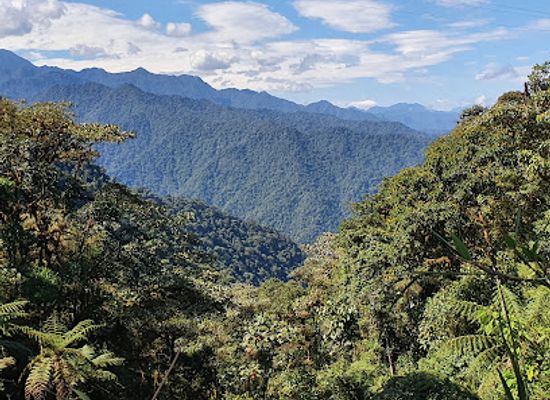 ecuador/amazon/attraction/bellavista-cloud-forest-reserve-lodge