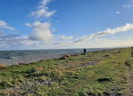 ireland/county-wicklow/attraction/birdwatch-ireland-s-east-coast-nature-reserve