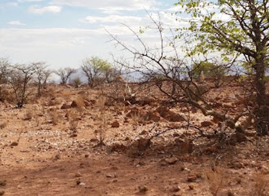 namibia/erongo/attraction/elephant-rest-lodge