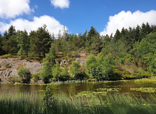 denmark/bornholm/attraction/rokkestenen