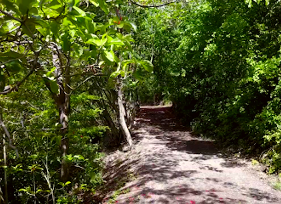 saint-lucia/anse-mamin/attraction/carib-caves