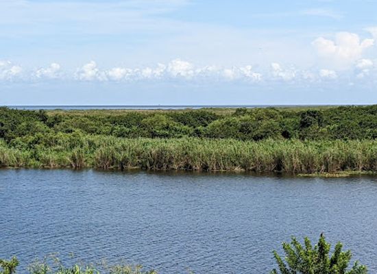 florida/lake-okeechobee/attraction/lake-okeechobee-scenic-trail