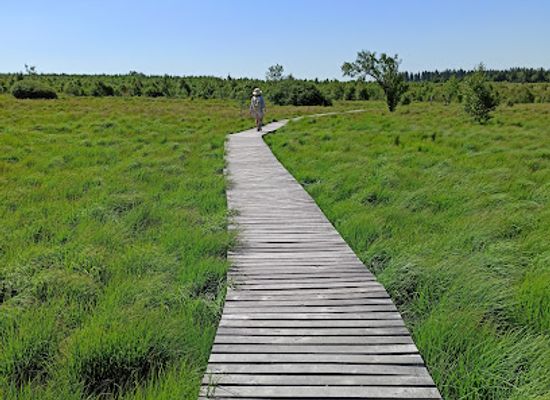 belgium/fagne-famenne/attraction/high-fens-eifel-nature-park