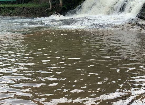 ghana/bono-region/attraction/anyinasu-waterfall