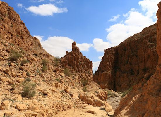 israel/negev/attraction/nahal-abuv-reserve