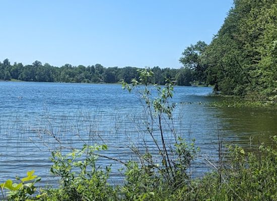 indiana/the-lakes-region/attraction/crooked-lake-nature-preserve