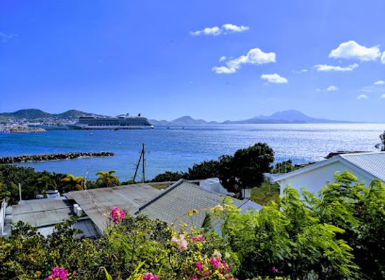 saint-kitts-and-nevis/nevis-lowlands/attraction/palms-court-gardens