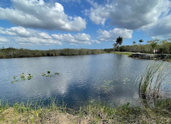 florida/everglades/attraction/royal-palm-visitor-center