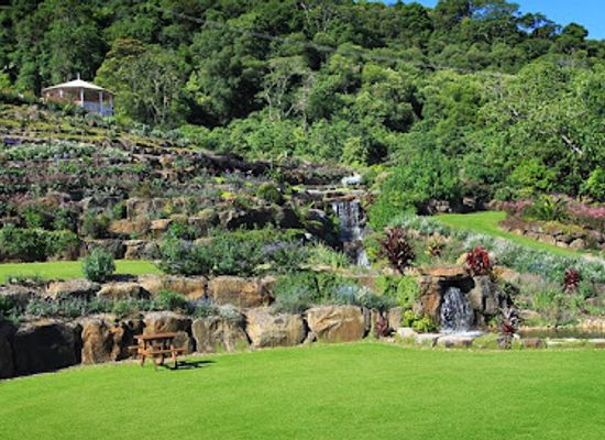 australia/southern-queensland/attraction/maleny-botanic-gardens-bird-world