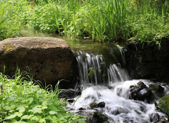 washington/spokane-river/attraction/john-a-finch-arboretum