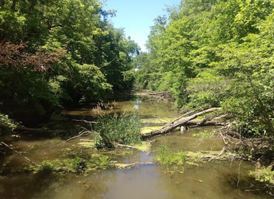 ohio/maumee-valley/attraction/day-light-falls