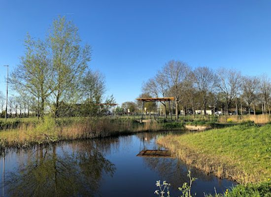 netherlands/delfland/attraction/abtswoudsepark