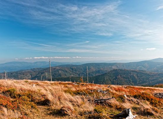 poland/silesian-beskids/attraction/zbojnicka-kopa